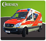 Rescue Ambulance - Panel Van Type