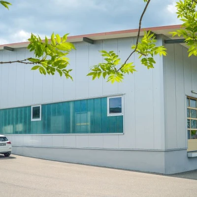 Moderne Industriehalle mit grauer Fassade, mehreren Sektionaltoren und einem geparkten weißen Fahrzeug im Vordergrund, umrahmt von grünen Zweigen bei sonnigem Wetter.